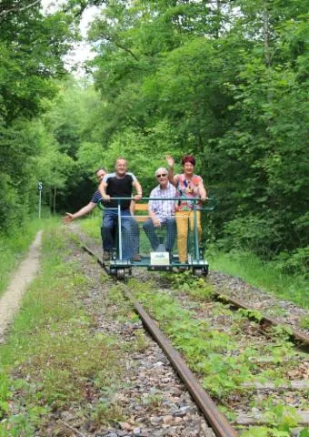 Image qui illustre: Vélorail En Forêt De Massonges