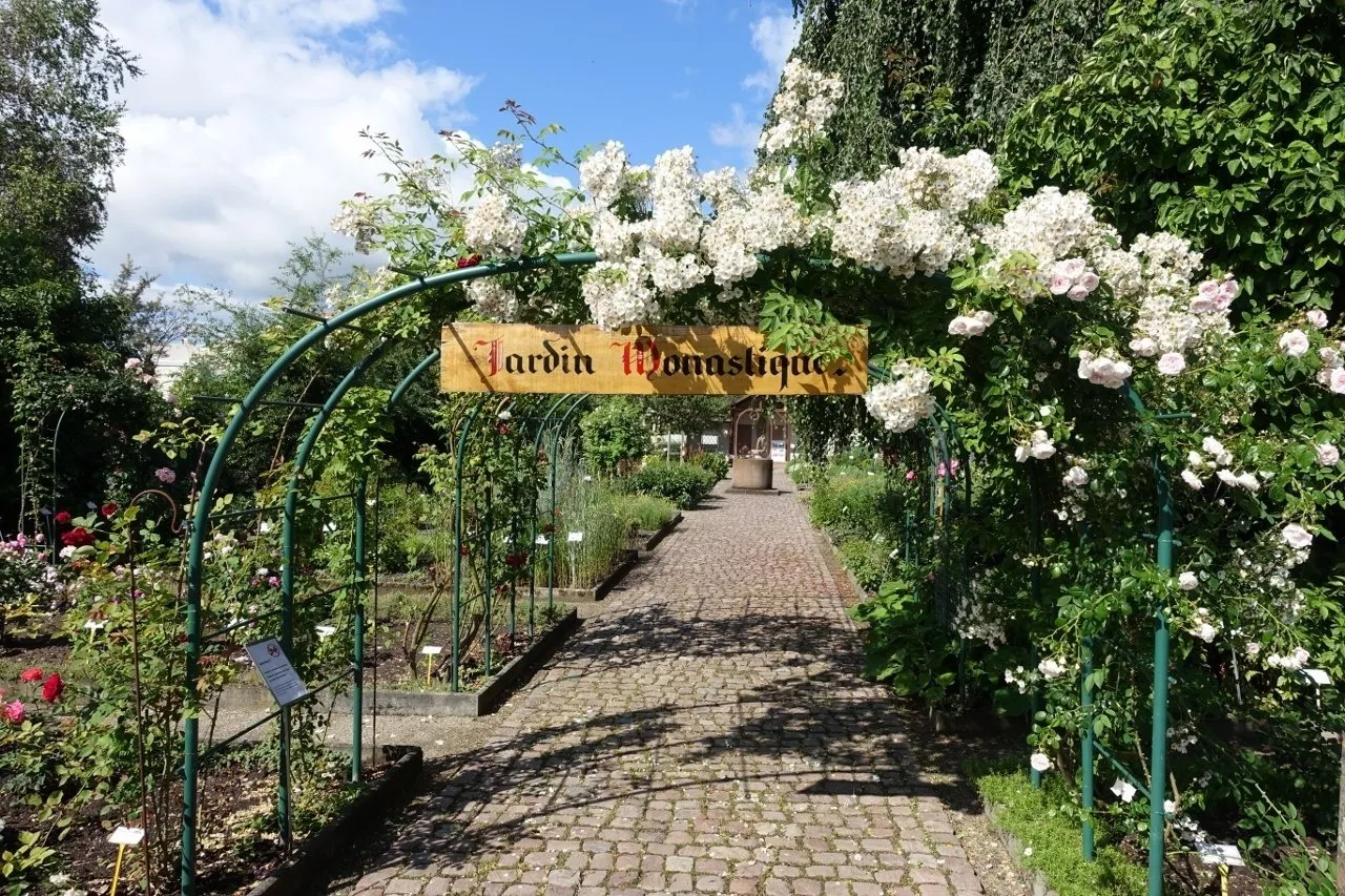 Image qui illustre: Promenades musicales et lectures au jardin à Eschau - 0