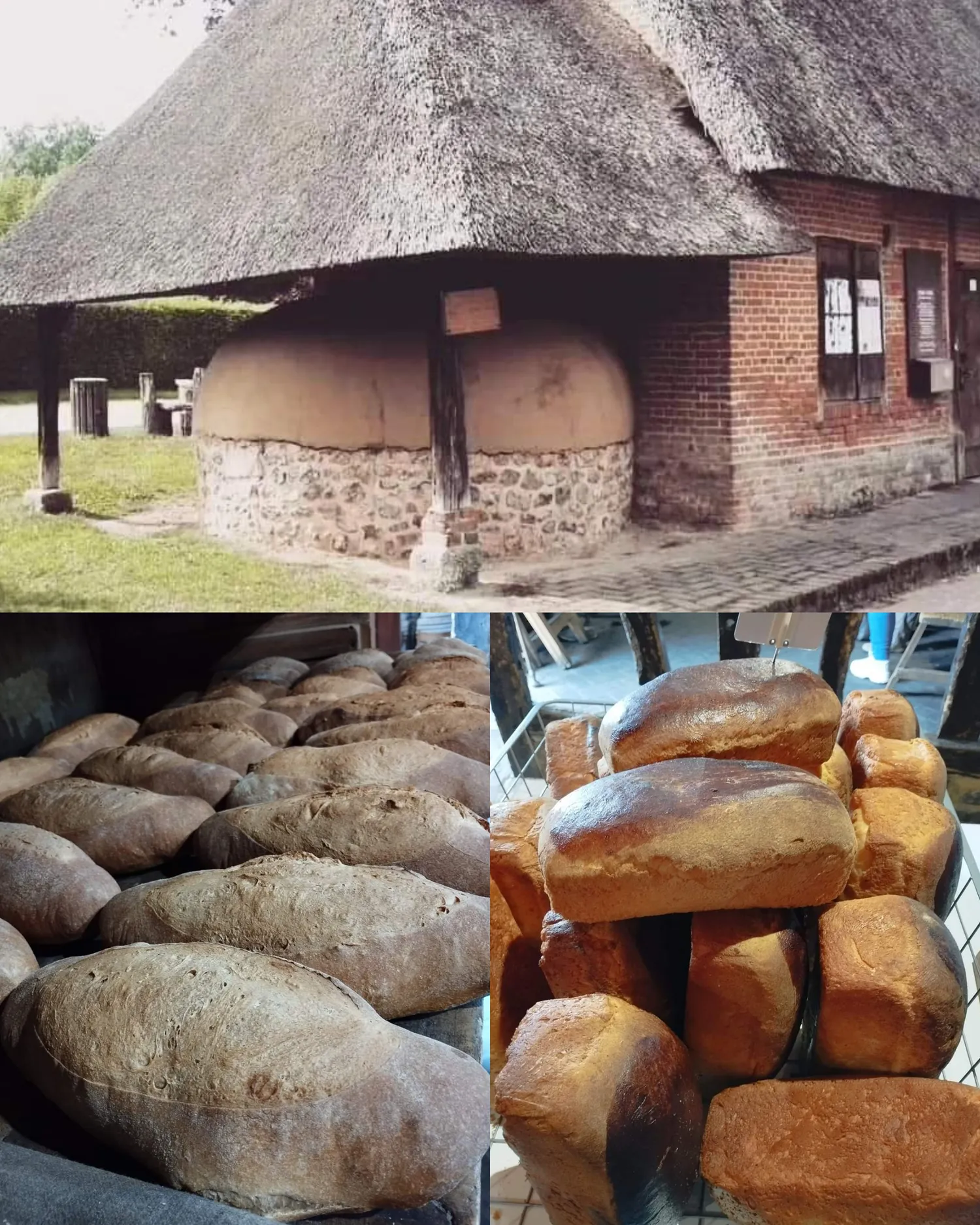 Image qui illustre: Démonstration : cuisson de pains et de brioches à Éturqueraye - 0