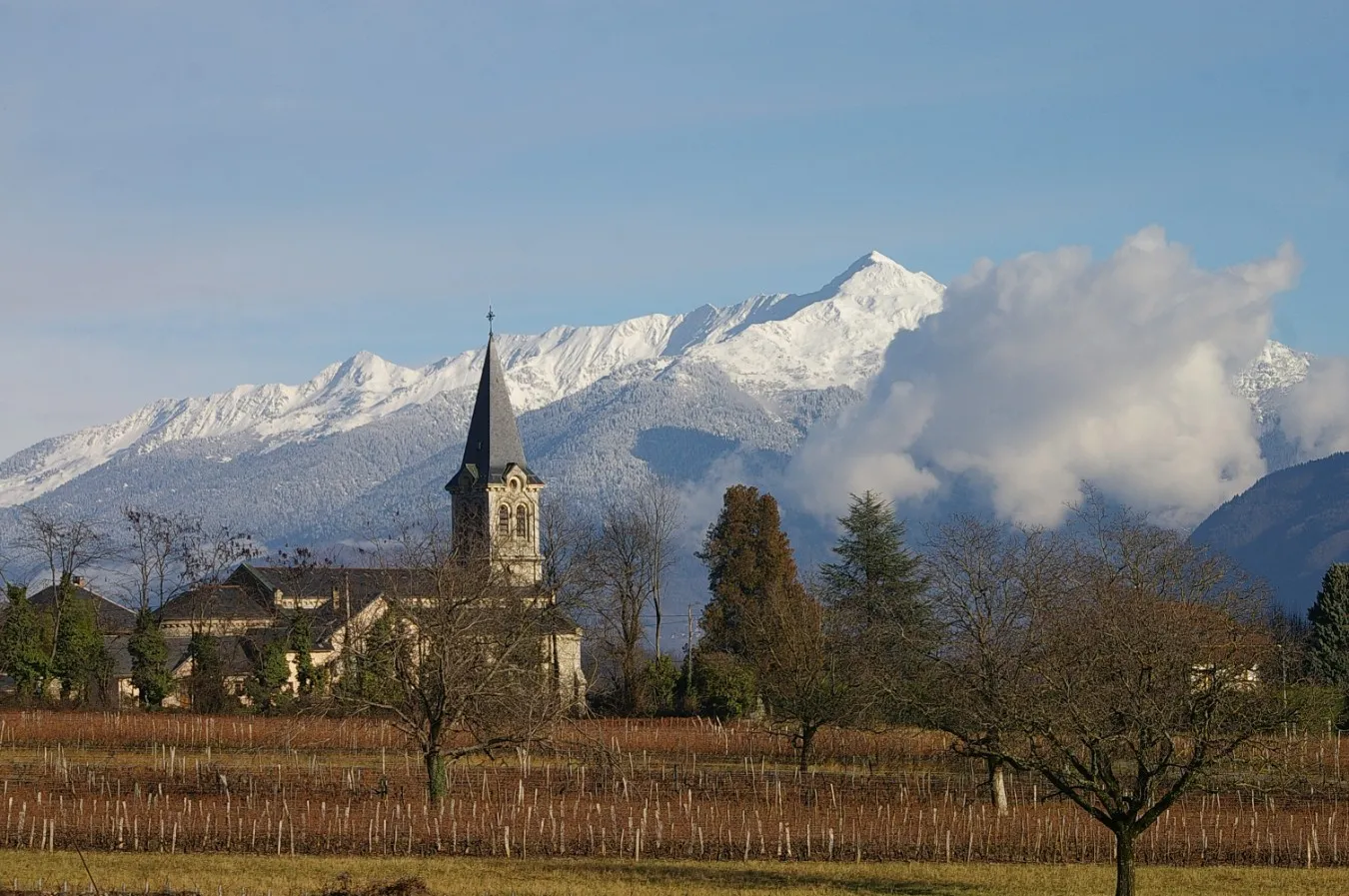 Image qui illustre: Découvrez un domaine viticole alpin à Cruet - 1