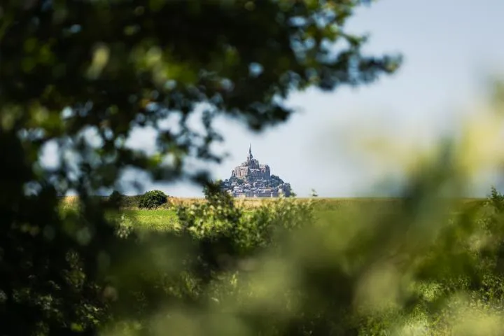 Image qui illustre: Visite guidée : balade grand air espaces naturels et rivages du Mont Saint-Michel