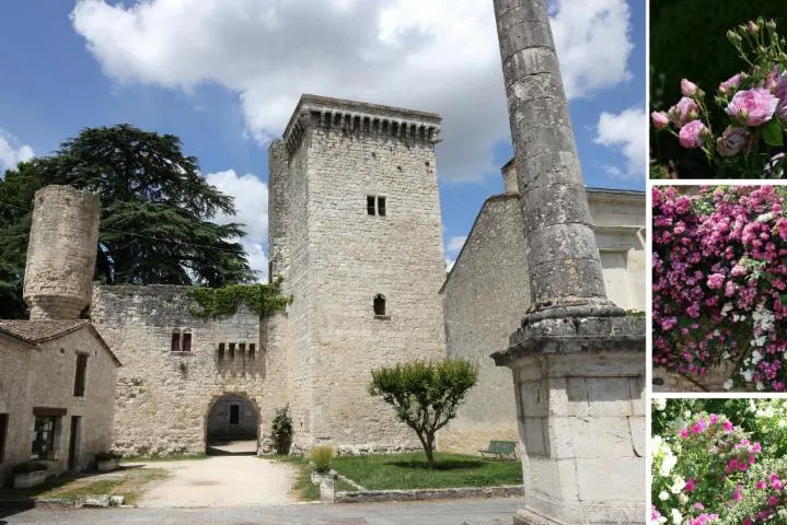 Image qui illustre: Visite libre :  Tout en haut du donjon !