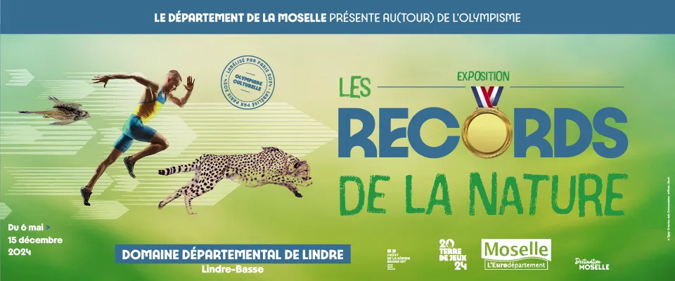 Image qui illustre: Exposition - Les Records De La Nature à Lindre-Basse - 0