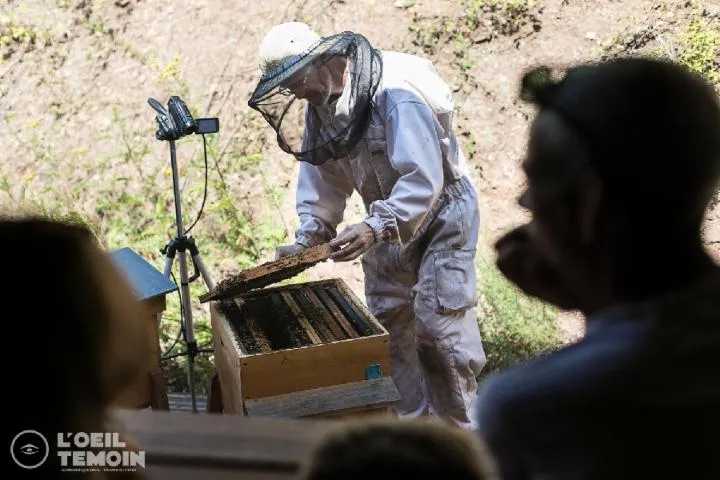 Image qui illustre: L'arc En Miel : Visite-immersion Au Coeur Du Monde Des Abeilles