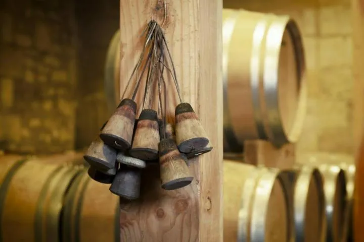 Image qui illustre: Journées Portes ouvertes aux châteaux de Castillon Côtes de Bordeaux