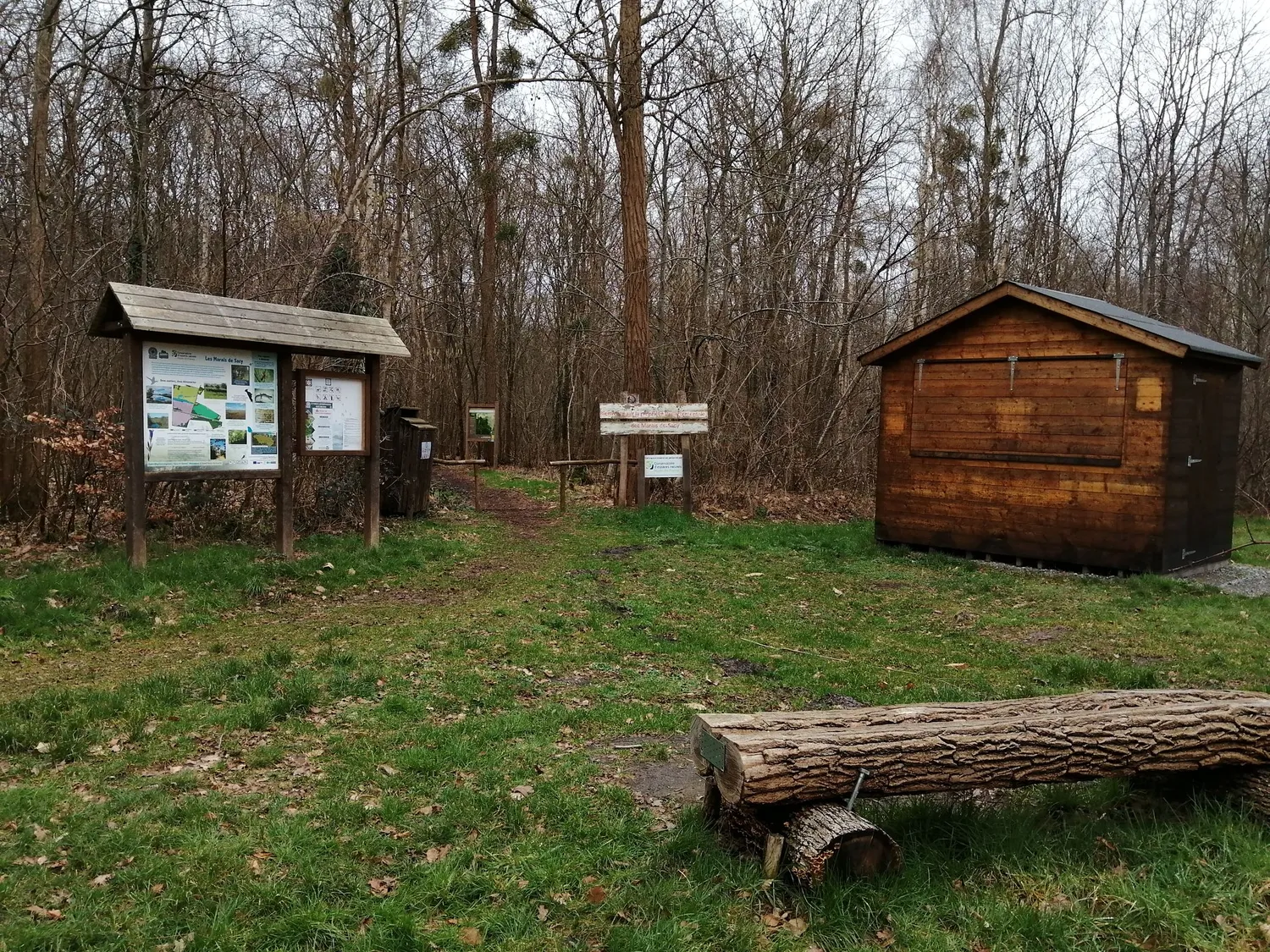 Image qui illustre: Le Parcours Forestier Des Marais De Sacy à Saint-Martin-Longueau - 1