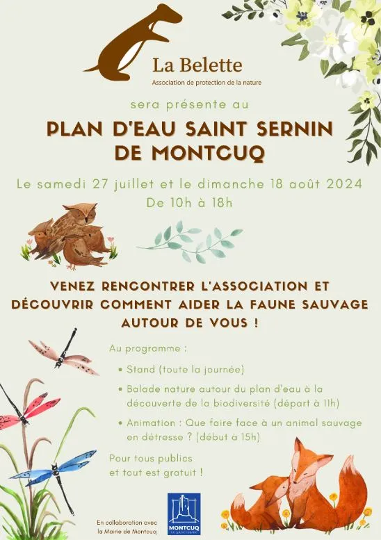 Image qui illustre: Animations De La Belette Au Plan D'eau Saint Sernin De Montcuq à Montcuq-en-Quercy-Blanc - 0