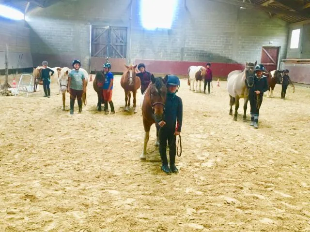 Image qui illustre: Centre Equestre De Gramat-rocamadour