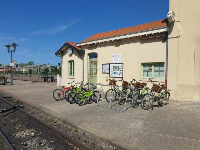 Image qui illustre: Chemin De Fer De La Baie De Somme - Location De Vélos
