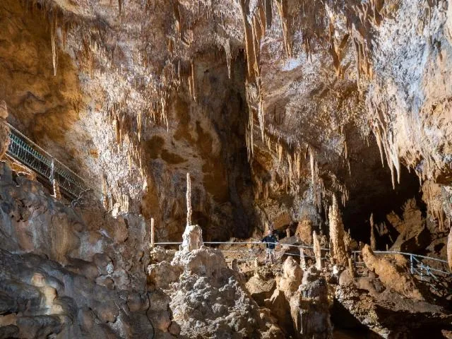Image qui illustre: Grotte Préhistorique De Foissac