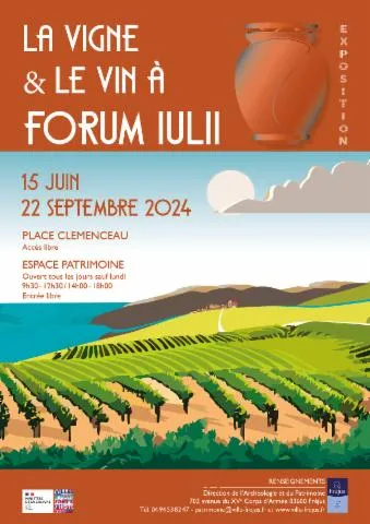 Image qui illustre: La vigne et le vin à Forum Iulii