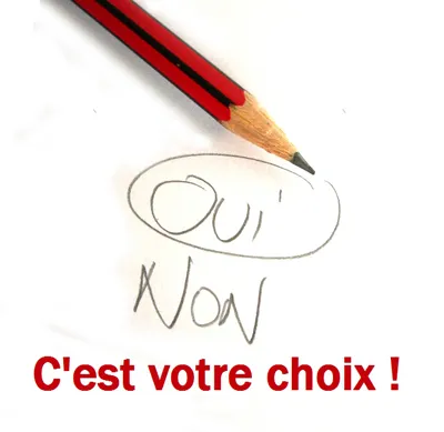 Image qui illustre: C'est votre choix ! à Loudun - 0