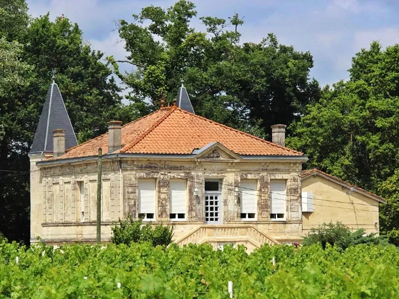 Image qui illustre: Château Freyneau à Montussan - 0