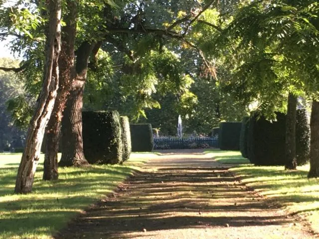 Image qui illustre: Jardin Du Secourieu