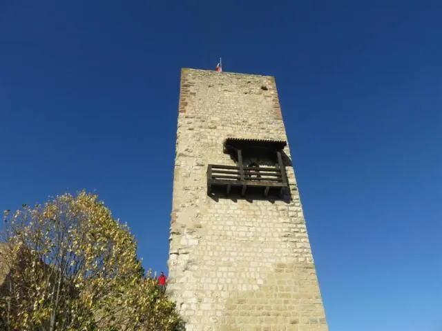 Image qui illustre: Le Château Du Wineck