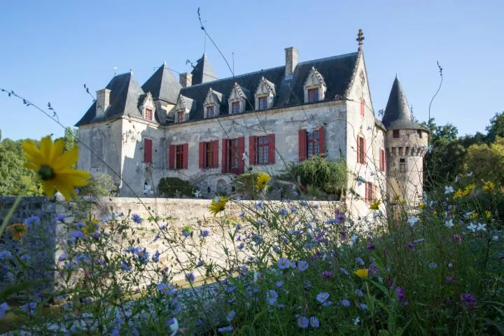 Image qui illustre: Château Olivier