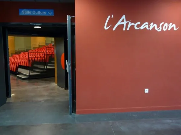 Image qui illustre: Centre Culturel l'Arcanson à Biscarrosse - 1