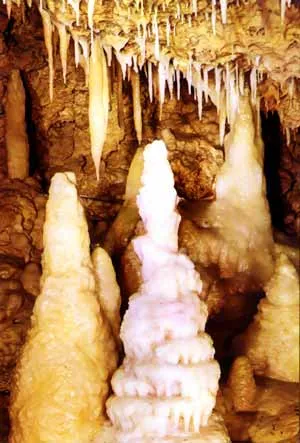 Image qui illustre: Grottes De Fontirou à Castella - 0