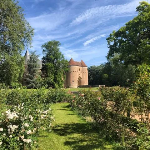 Image qui illustre: Château Et Jardins D'ainay-le-vieil