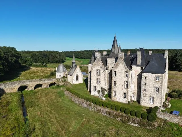 Image qui illustre: Visite guidée et commentée du château de Bourgon à Montourtier, tour en attelage du site avec une percheronne en fin de visite puis concert lyrique