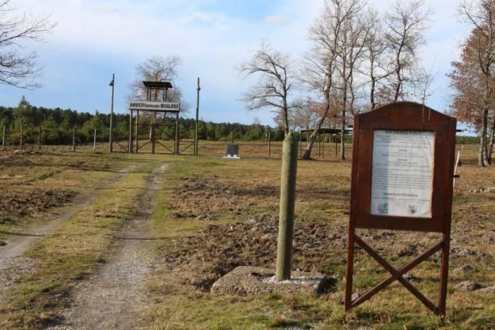 Image qui illustre: Mémoire Du Camp De Prisonniers De Buglose