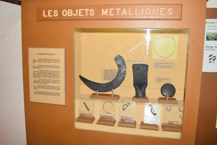 Image qui illustre: Salle d'exposition archéologique