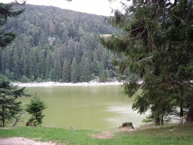 Image qui illustre: Lac Vert