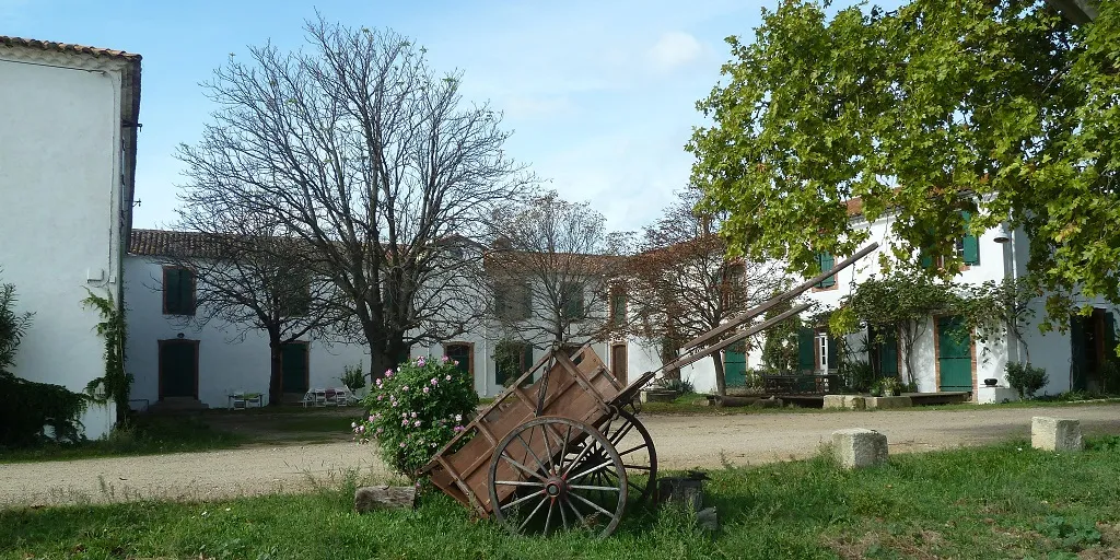 Image qui illustre: Chateau Coujan à Murviel-lès-Béziers - 1