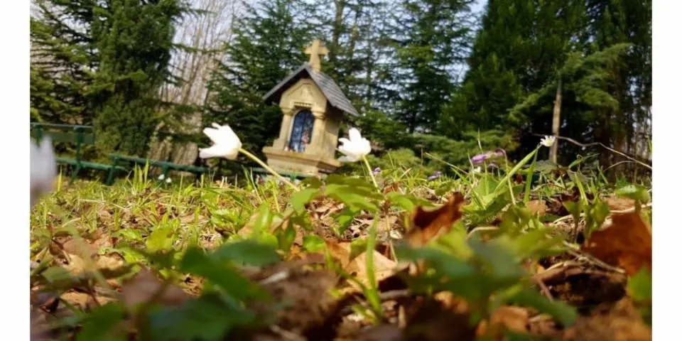 Image qui illustre: Circuit De La Croix Du Chêne - Bois De La Côte