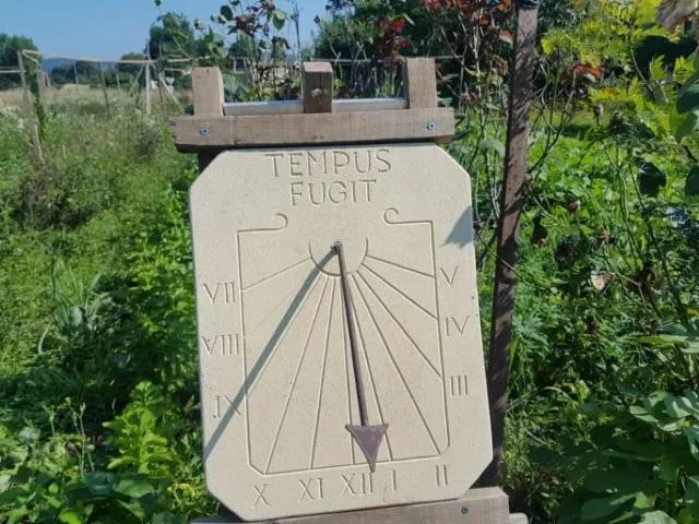 Image qui illustre: Le Jardin Insolite De Papy Paulo