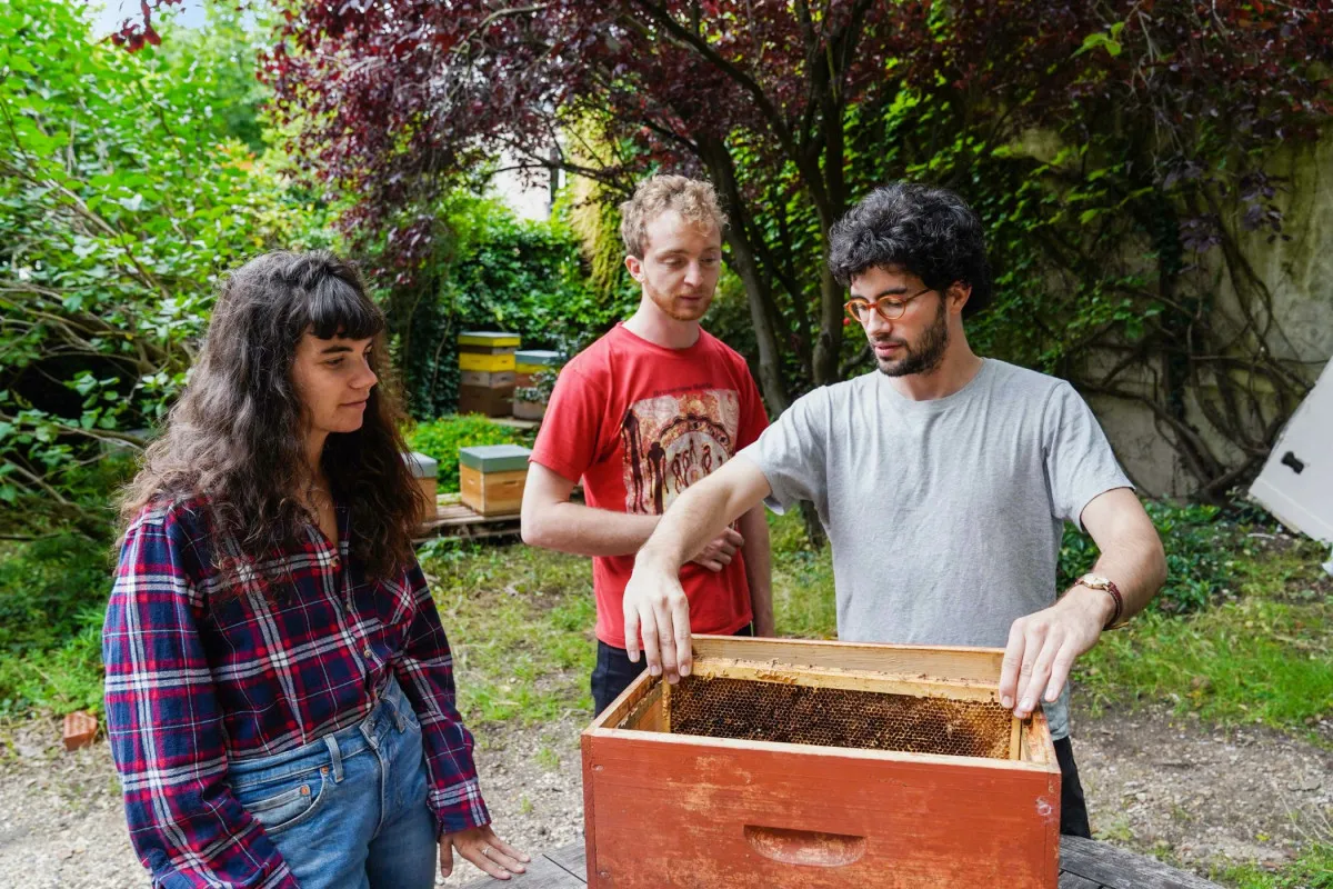 Image qui illustre: Initiez-vous à l'apiculture urbaine à Malakoff - 2