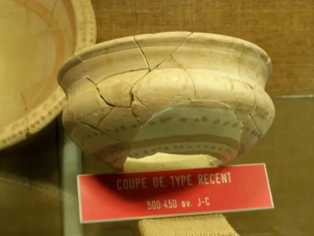 Image qui illustre: Musée Archéologique Du Pègue