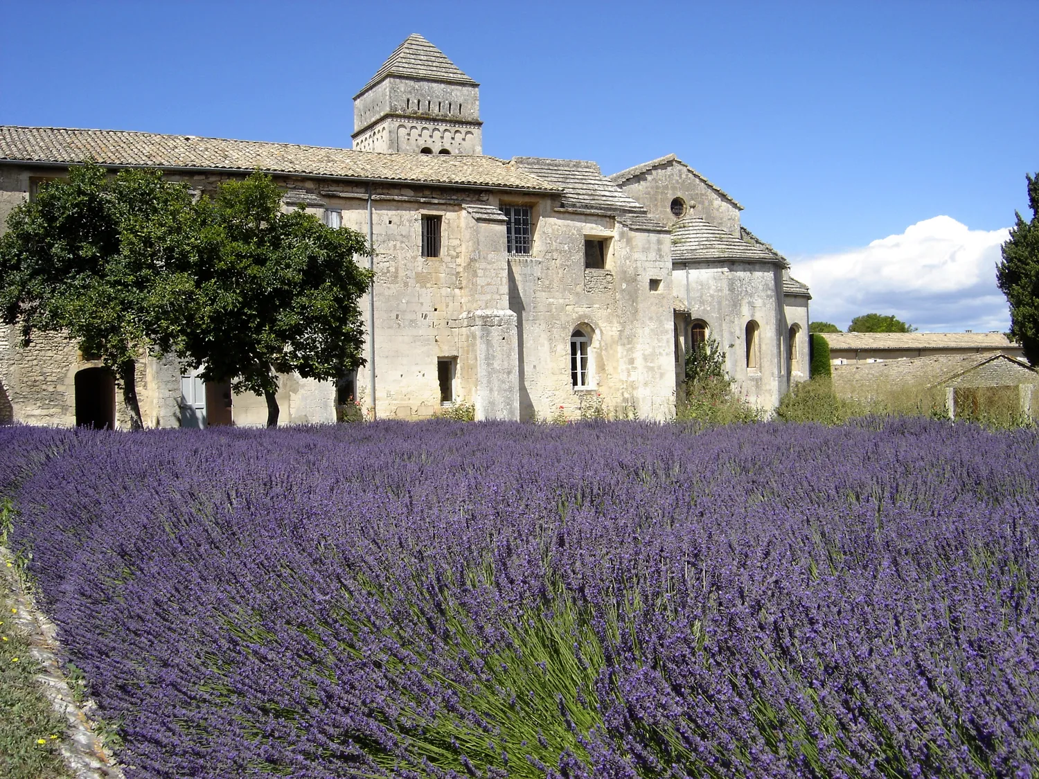 Image qui illustre: Centre culturel Saint-Paul de Mausole à Saint-Rémy-de-Provence - 0