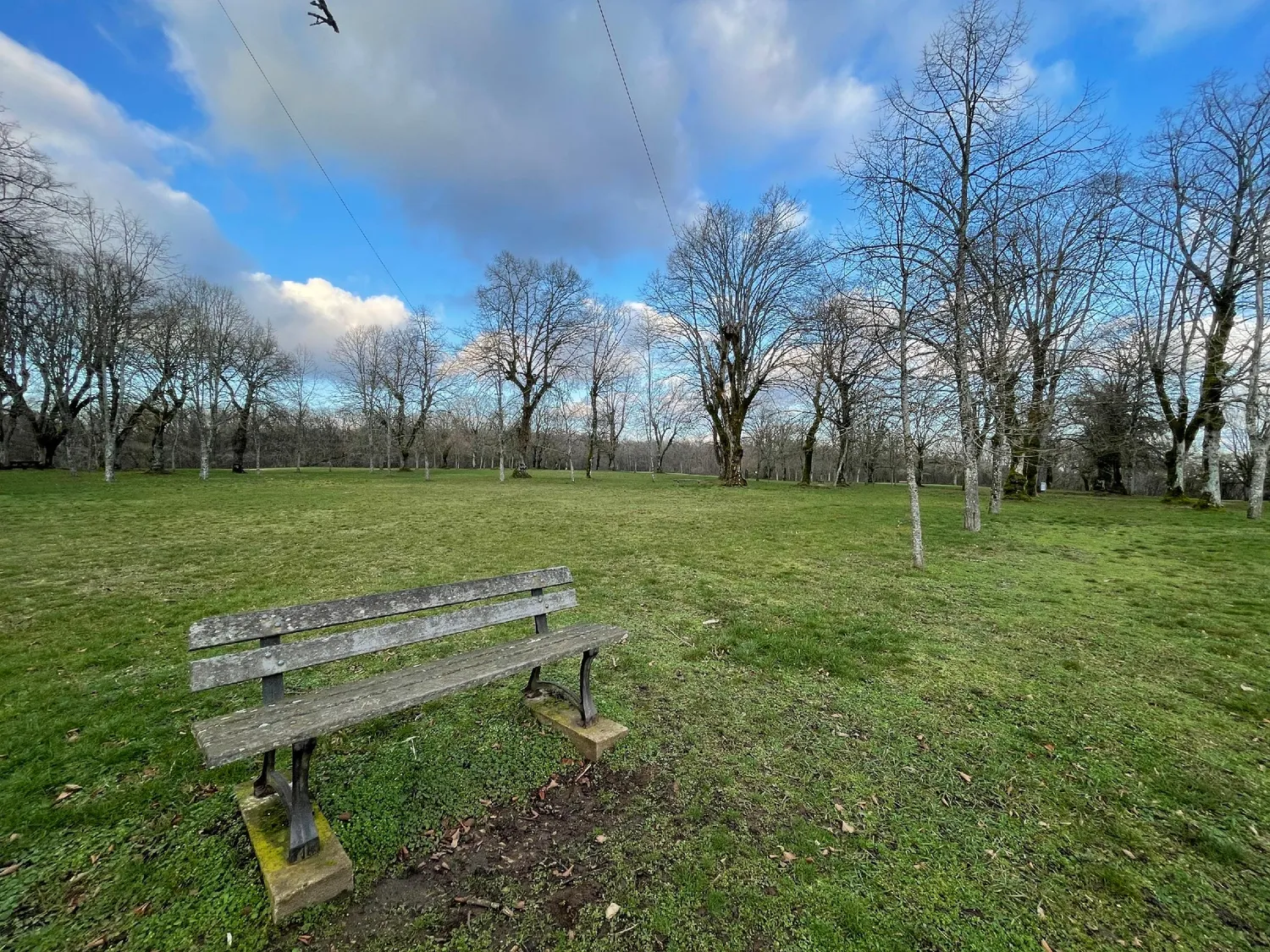 Image qui illustre: Pelouse Des Dames à Bouxières-aux-Dames - 0