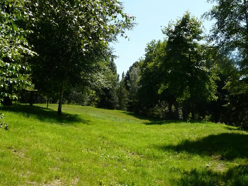 Image qui illustre: Arboretum De Lisieux à Lisieux - 2