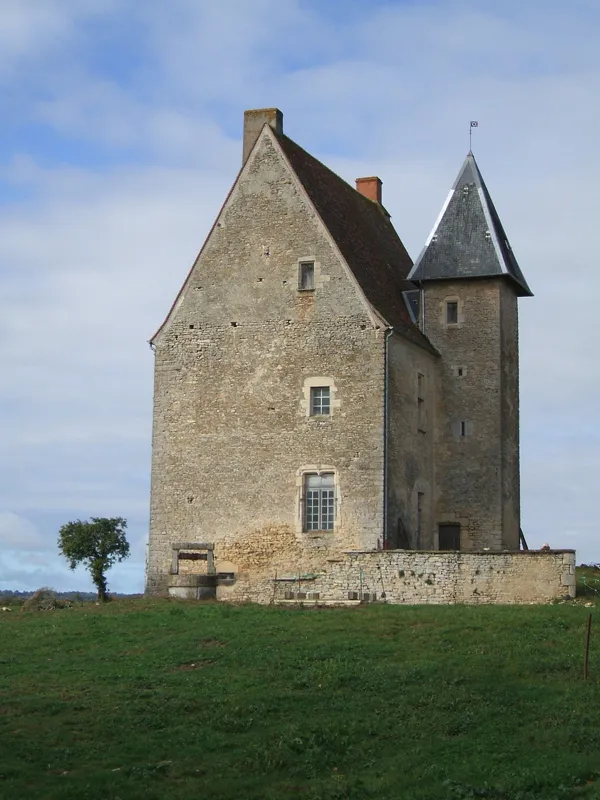 Image qui illustre: Château De La Motte Beraud à Sagonne - 0