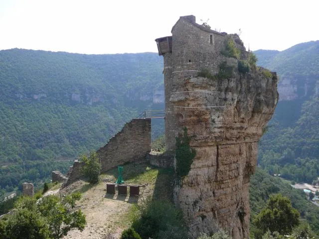 Image qui illustre: Château De Peyrelade