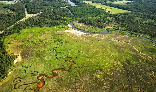 Image qui illustre: Les réservoirs à poissons - balade dans la réserve naturelle des Prés Salés à Arès - 0