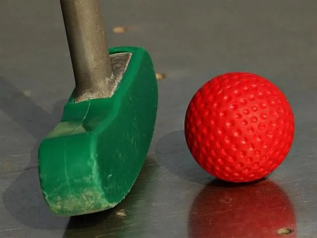 Image qui illustre: Mini Golf