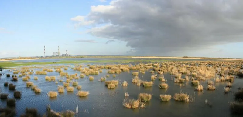 Image qui illustre: Découverte des anciennes îles de Loire