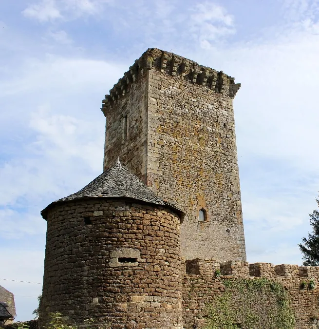 Image qui illustre: Château De Tholet à Gabriac - 0