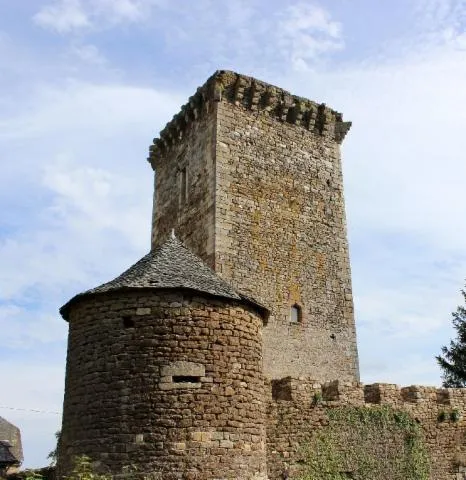 Image qui illustre: Château De Tholet