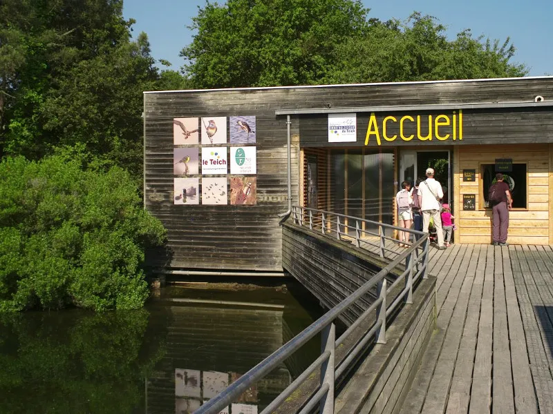 Image qui illustre: Maison de la Nature du Bassin d'Arcachon à Le Teich - 0