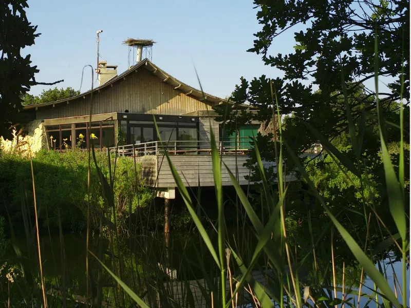 Image qui illustre: Maison de la Nature du Bassin d'Arcachon à Le Teich - 2