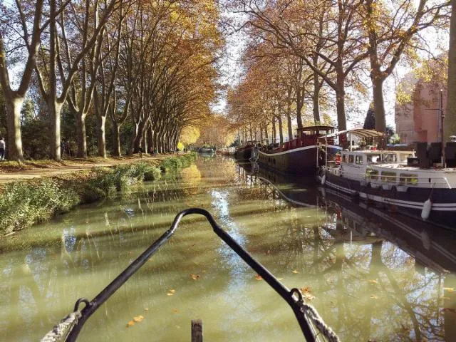 Image qui illustre: Catefifi - Balade Sur Le Canal