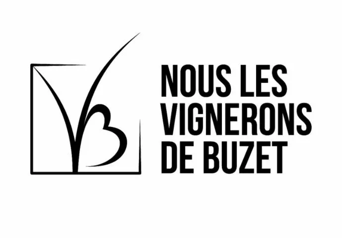 Image qui illustre: Vignerons de Buzet