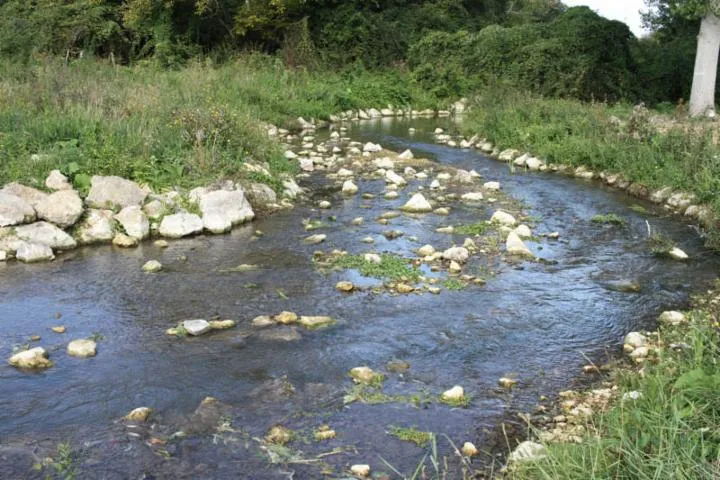 Image qui illustre: Cpie Touraine Val De Loire