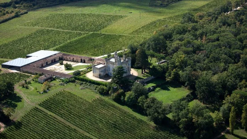 Image qui illustre: Château de Camarsac