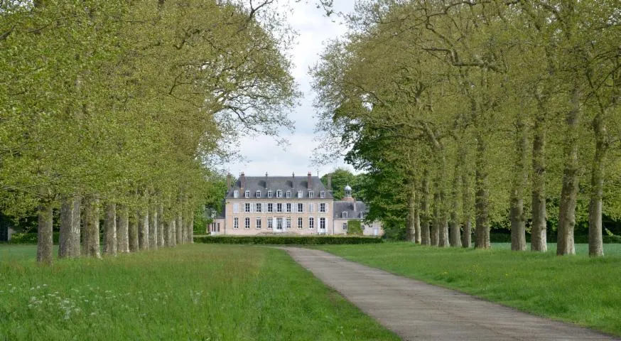 Image qui illustre: Château De Touchebredier