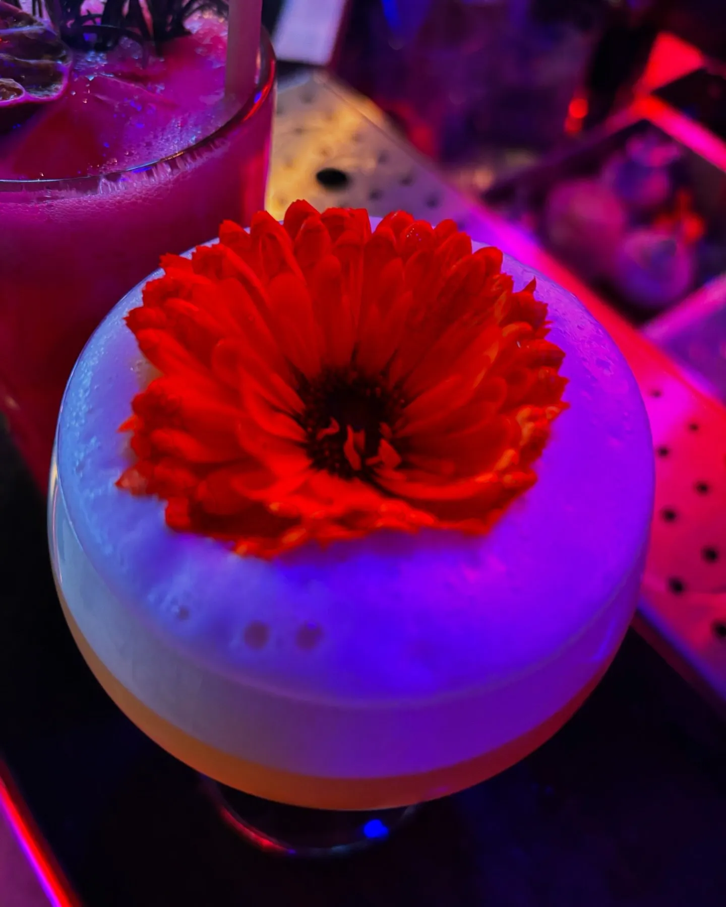 Image qui illustre: Les Timbrés Cocktail Bar à Paris - 2